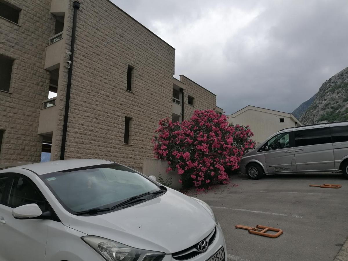Villa Milla Kotor Exterior photo